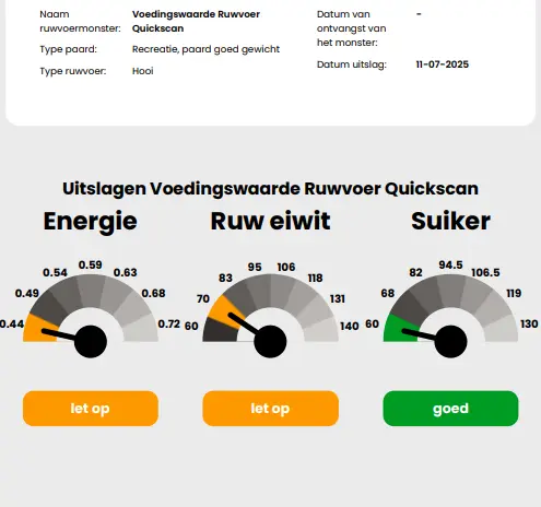 Schermafbeelding 2026-01-16 131810.webp