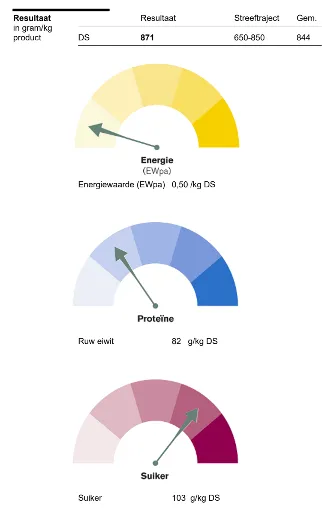 Schermafbeelding 2026-01-19 132217.webp